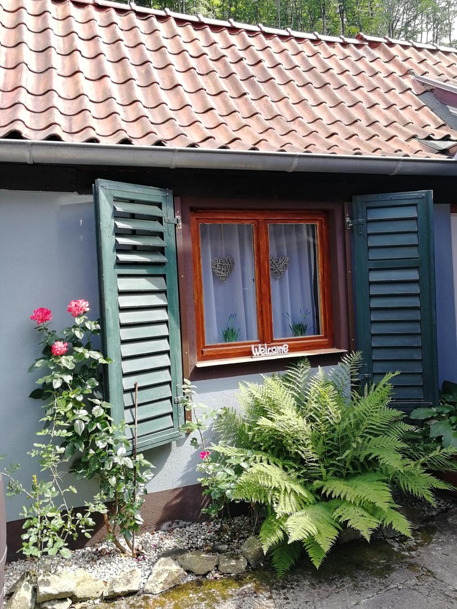 Ferienhaus Rosaly Stolberg  Ngoại thất bức ảnh